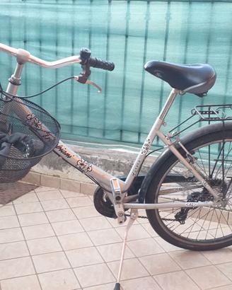 Bicicletta da Donna