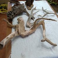 Arredo accessori acquario