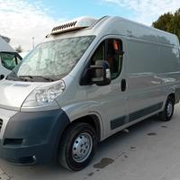 Ducato isotermico