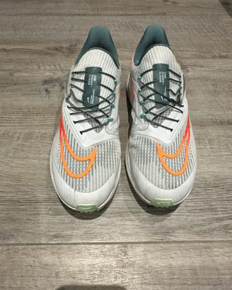 Nike pegasus