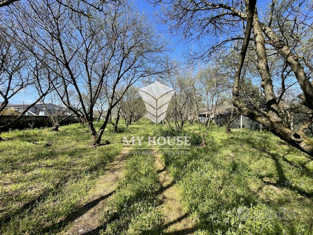 Terreno di 10050 m² a Palestrina - Altro
