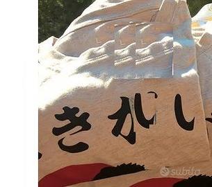 maglietta Primark Japan Ikigai sol levante giappon