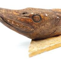 Testa Di Luccio spinning pesca predatori 