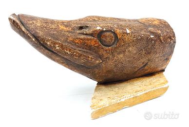 Testa Di Luccio spinning pesca predatori 