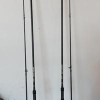 coppia canne carpfishing 