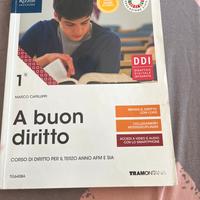 Libro di Diritto- a buon diritto 1