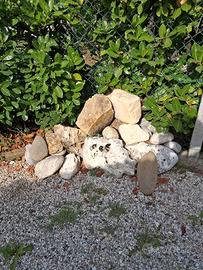 Sassi e rocce 