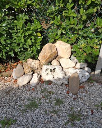 Sassi e rocce 