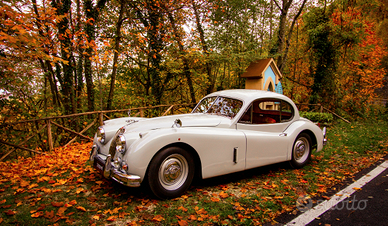 Jaguar xk140 fhc 1956