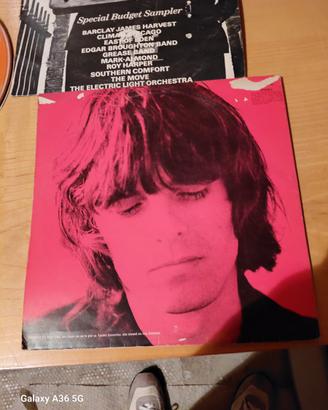 Dischi in Vinile