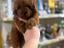 Immagine 22