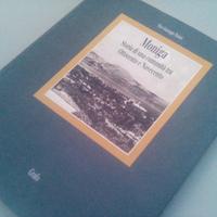 Moniga Sirmione Garda Bogliaco Calvagese Villanuov