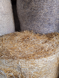 Paglia di grano e favino anno2025
