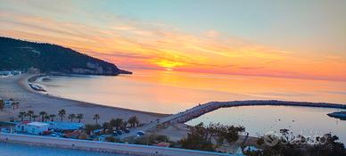 Last minute 11 - 18/7 appartamenti vista mare