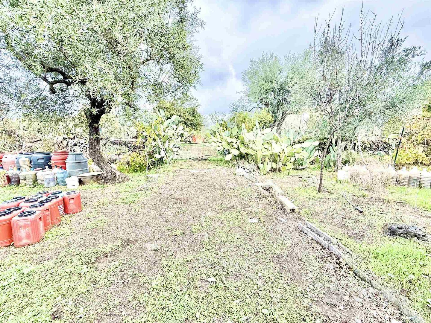 Rif.GL348| terreno agricolo belpasso - Altro