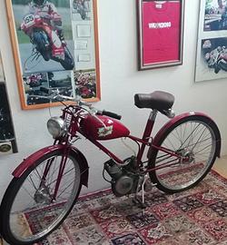 ducati cucciolo