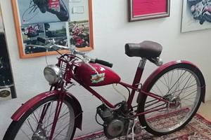 ducati cucciolo