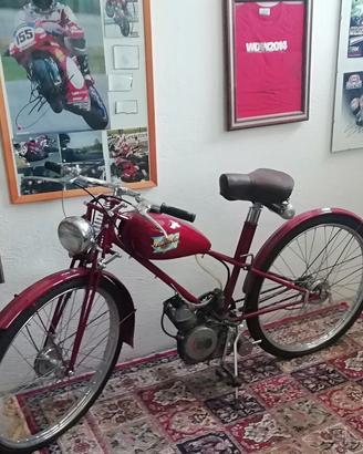 ducati cucciolo