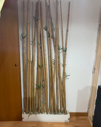 Separe’ in vero bambu’
