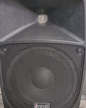cassa amplificata 300 watt
