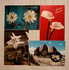 4 Cartoline Anni 50/70 Garami/ Vere Stelle Alpine