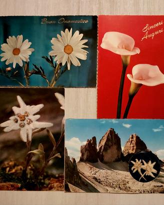4 Cartoline Anni 50/70 Garami/ Vere Stelle Alpine