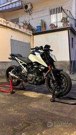 KTM duke 390 2022