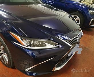 Autolexus