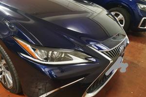 Autolexus