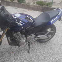 Hornet 600 gomme nuove
