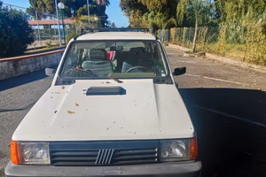 Panda 900 ie