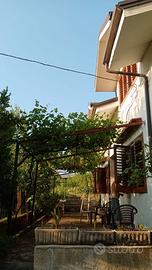 Soluzione indipendente uscita autostrada Petina