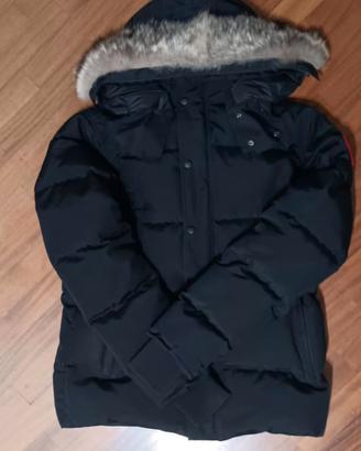 Canada Goose 