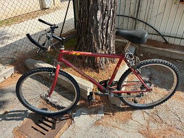bicicletta Mountain bike