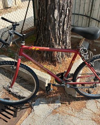 bicicletta Mountain bike