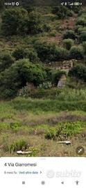 Rustico + terreno 5000mq
