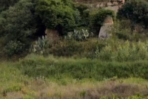Rustico + terreno 5000mq