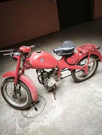 Motom 48