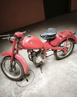 Motom 48