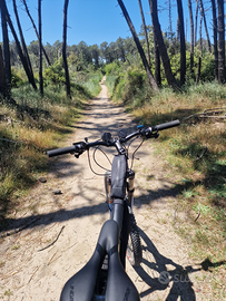 Bici elettrica e-bike pedalata assistita