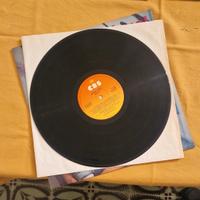 Disco in vinile 33 giri