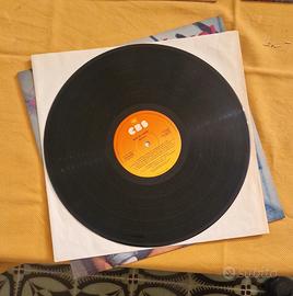 Disco in vinile 33 giri