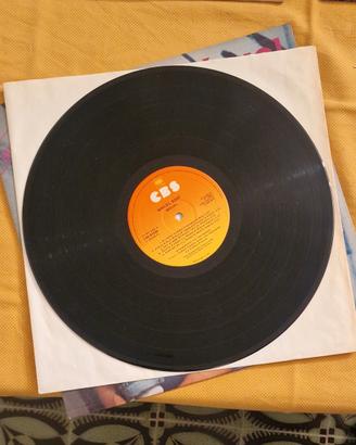 Disco in vinile 33 giri