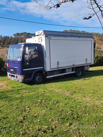 Eurocargo Iveco 80 e 18 coibentato