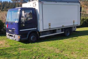 Eurocargo Iveco 80 e 18 coibentato