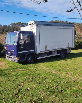 Eurocargo Iveco 80 e 18 coibentato