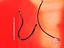 Immagine 12