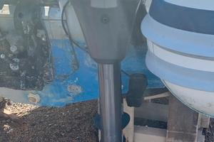 Fuoribordo yamaha 9.9 LMH Gambo XL, Guida a Barra