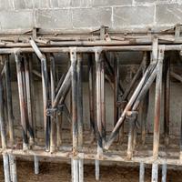 Autocatture per bovini