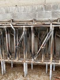 Autocatture per bovini